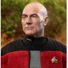 Star Trek: The Next Generation figurine Captain Jean-Luc Picard EXO-6