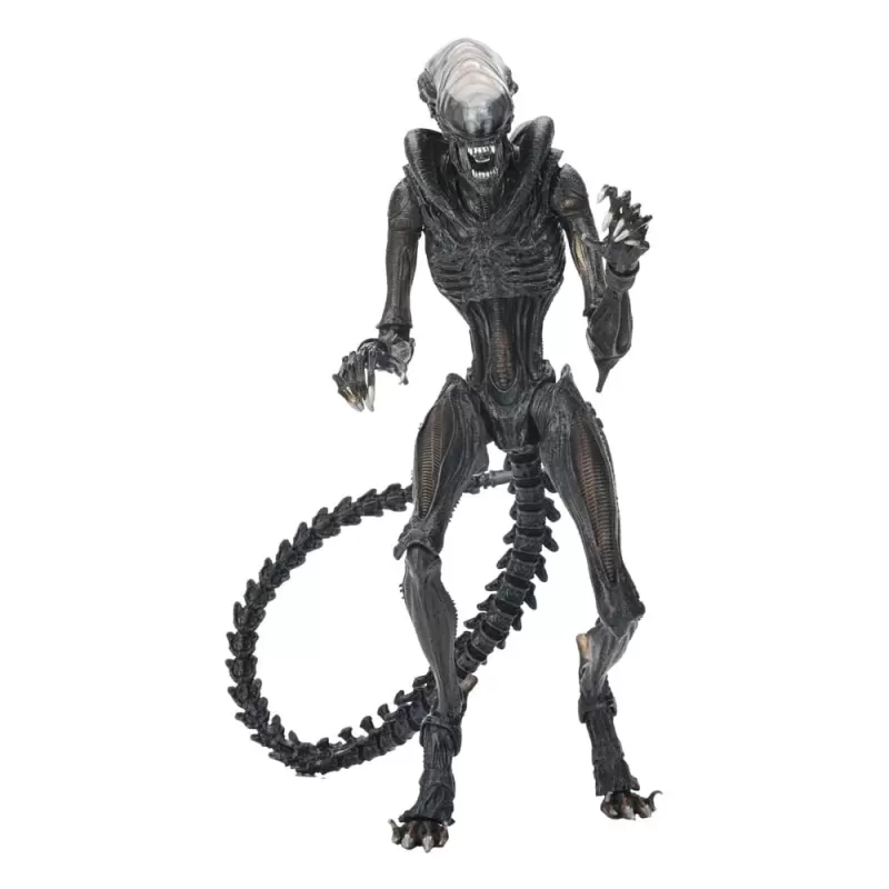 Alien: Romulus figurine Ultimate Scorched Xenomorph Neca