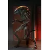 Alien: Romulus figurine Ultimate Scorched Xenomorph Neca