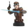 Star Wars buste Starkiller Hero (Concept) Premier Guild Exclusive Gentle Giant