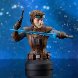 Star Wars buste Starkiller Hero (Concept) Premier Guild Exclusive Gentle Giant