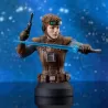 Star Wars buste Starkiller Hero (Concept) Premier Guild Exclusive Gentle Giant