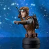 Star Wars buste Starkiller Hero (Concept) Premier Guild Exclusive Gentle Giant