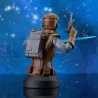 Star Wars buste Starkiller Hero (Concept) Premier Guild Exclusive Gentle Giant