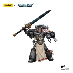 Warhammer 40k figurine Grey Knights Strike Squad Justicar Joy Toy