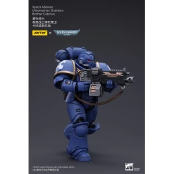 Warhammer 40k figurine Space Marines Ultramarines Outriders Brother Catonus Joy Toy