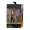 Star Wars Episode I Black Series figurine Deluxe 2021 Jar Jar Binks Hasbro