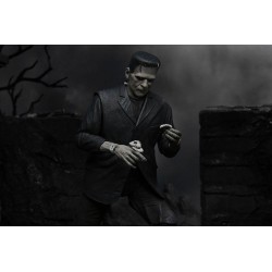 Universal Monsters figurine Ultimate Frankenstein's Monster (Black & White) NECA