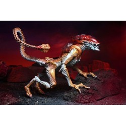 Aliens figurine Panther Alien (Kenner Tribute) Neca