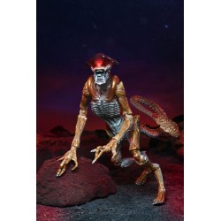 Aliens figurine Panther Alien (Kenner Tribute) Neca