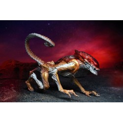 Aliens figurine Panther Alien (Kenner Tribute) Neca