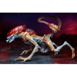 Aliens figurine Panther Alien (Kenner Tribute) Neca