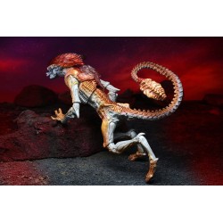 Aliens figurine Panther Alien (Kenner Tribute) Neca