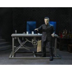 Universal Monsters accessoires pour figurines Frankenstein Accessory Pack Neca