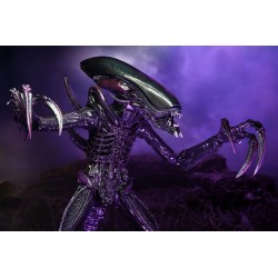 Alien vs Predator figurine Razor Claws Alien Neca