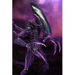 Alien vs Predator figurine Razor Claws Alien Neca