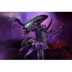 Alien vs Predator figurine Razor Claws Alien Neca