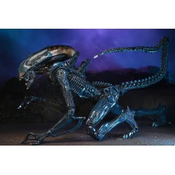 Alien vs Predator figurine Arachnoid Alien Neca