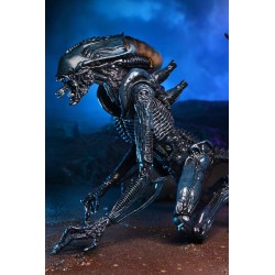 Alien vs Predator figurine Arachnoid Alien Neca