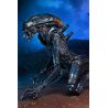 Alien vs Predator figurine Arachnoid Alien Neca