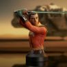 Star Wars Rebels buste Ezra Bridger Gentle Giant