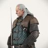 Witcher 3 Wild Hunt figurine Vesemir Dark Horse