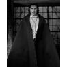 Universal Monsters figurine Ultimate Dracula (Carfax Abbey) Neca