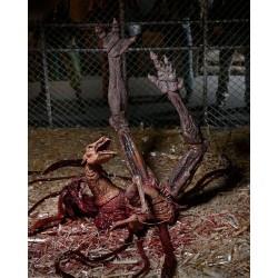 The Thing figurine Thing Dog Creature Ultimate Deluxe Neca