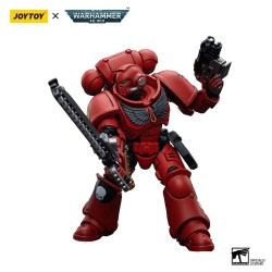 Warhammer 40k figurine Blood Angels Intercessors Joy Toy