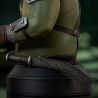 Star Wars: The Book of Boba Fett buste Gamorrean Guard St. Patrick's Day Exclusive Gentle Giant