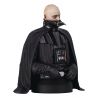 Star Wars Episode VI buste Darth Vader (unhelmeted) Gentle Giant