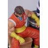 Street Fighter figurine Cody & Guy Premium Collectibles Studio