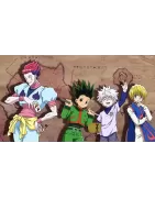 hunter x hunter